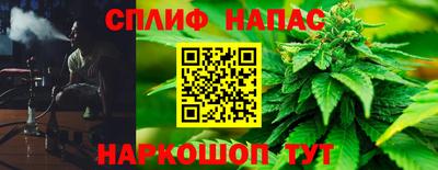 jwh Новозыбков