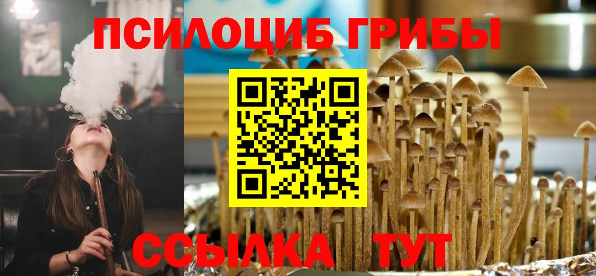 Псилоцибиновые грибы прущие грибы Хасавюрт