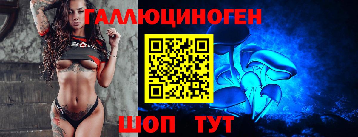 Псилоцибиновые грибы ЛСД  Псилоцибиновые грибы Cubensis  Вход с VPN  Хасавюрт 